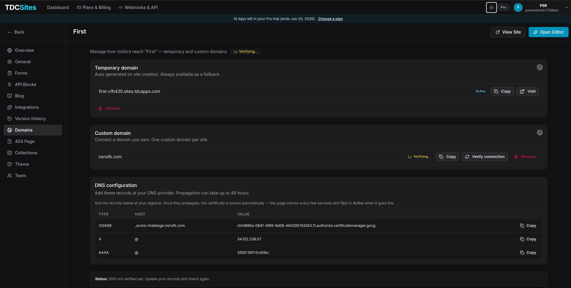 Domains Dashboard Panel