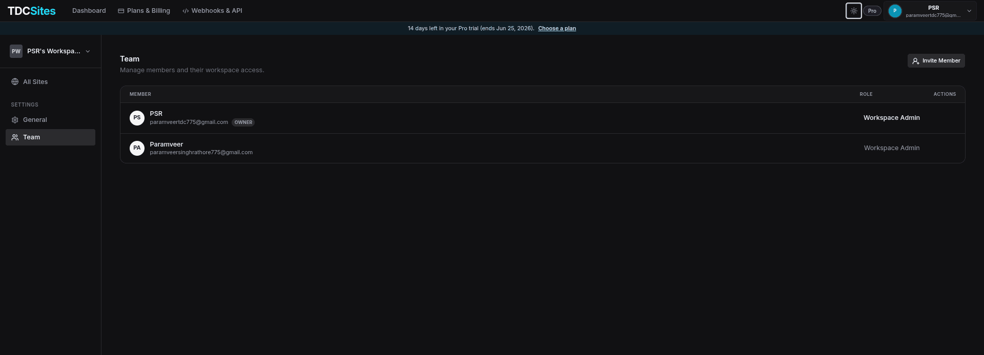 Workspace Team tab showing member list and invites